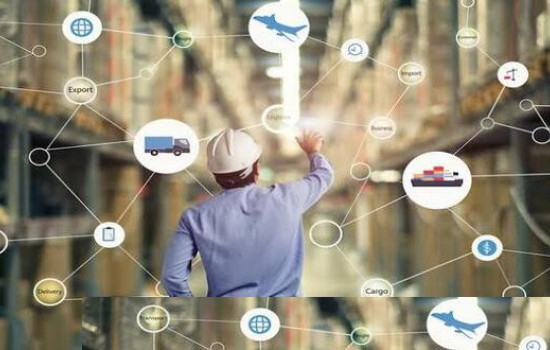 Dynamic Simulation of Supply Chain and Logistics